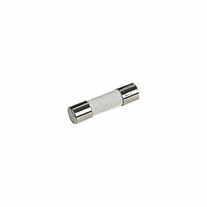 10A 20mm x 5mm Ceramic Time Delay(T)/Slow Blow Fuse x 2